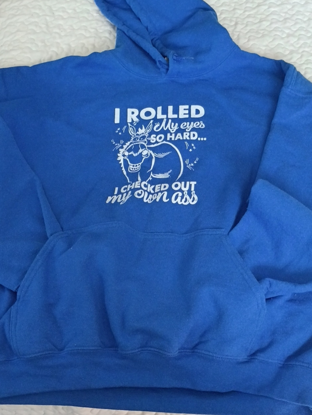 Gildan Royal Blue Pullover Hoodie with White Graphic